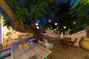 Casa Angelina Lindian House with large garden